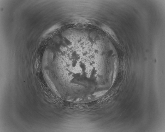 X0000085841063200703301639