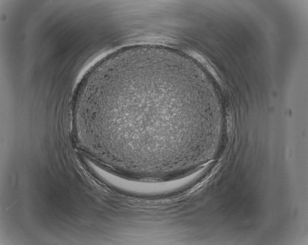 X0000085841069200703301639