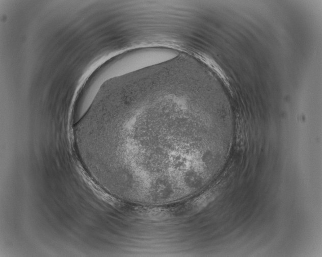 X0000085841072200703301639