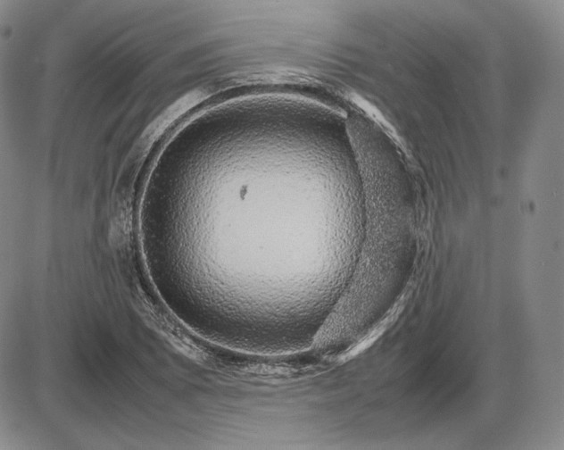 X0000085841073200703301639