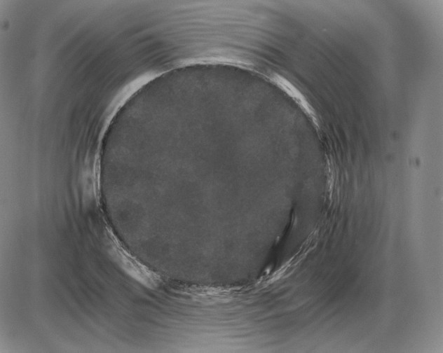 X0000085841076200703301639