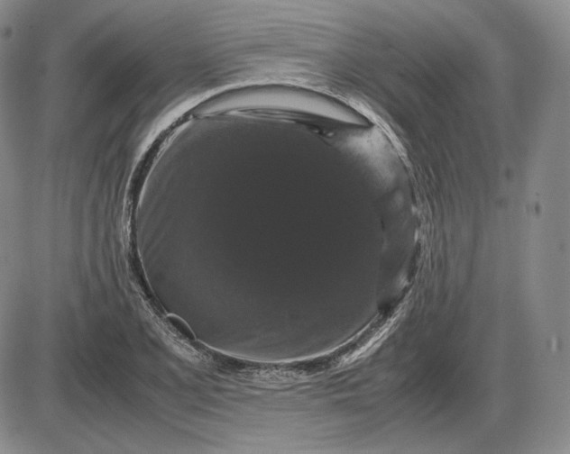 X0000085841077200703301639