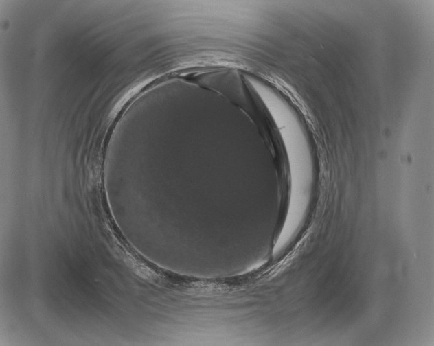 X0000085841081200703301639
