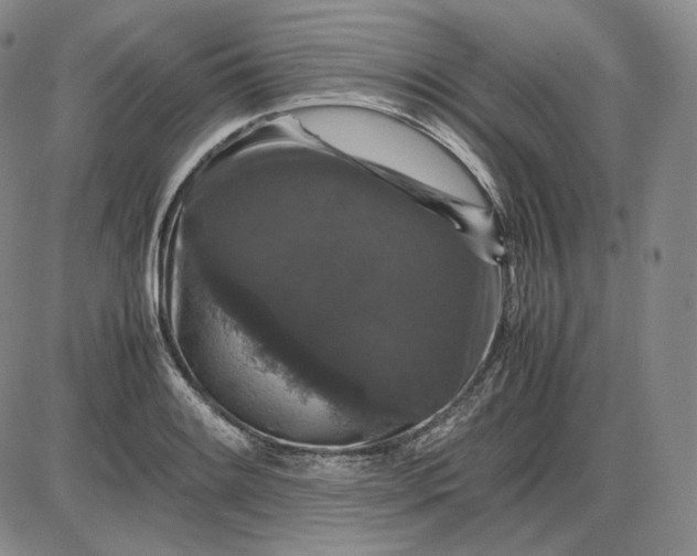 X0000085841084200703301639