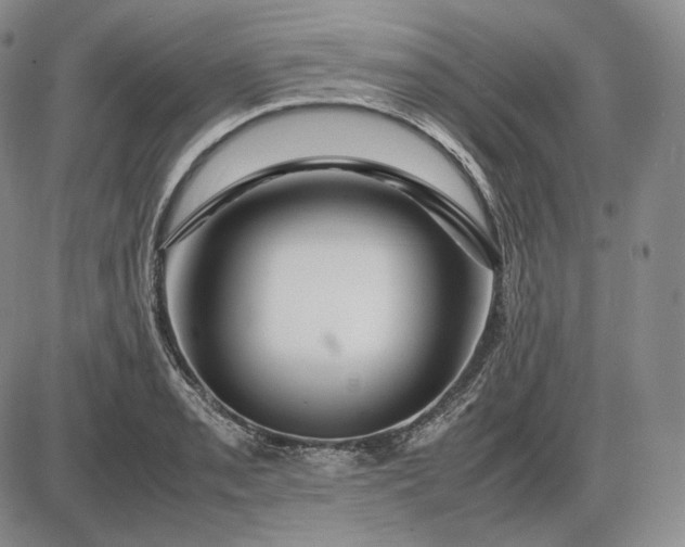 X0000085841085200703301639