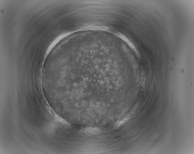 X0000085841094200703301638