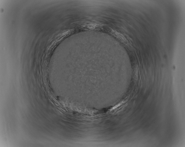 X0000085841105200703301637