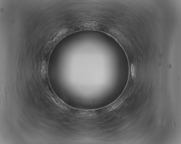 X0000085841107200703301637