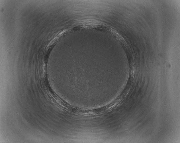 X0000085841108200703301637