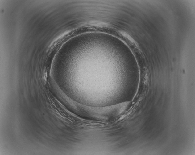 X0000085841112200703301638