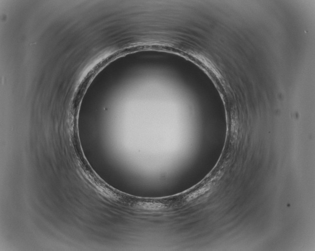 X0000085841119200703301638
