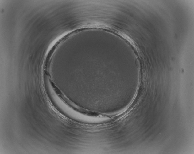 X0000085841120200703301638