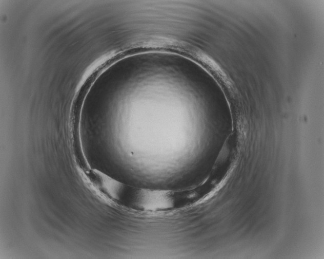 X0000085841122200703301638