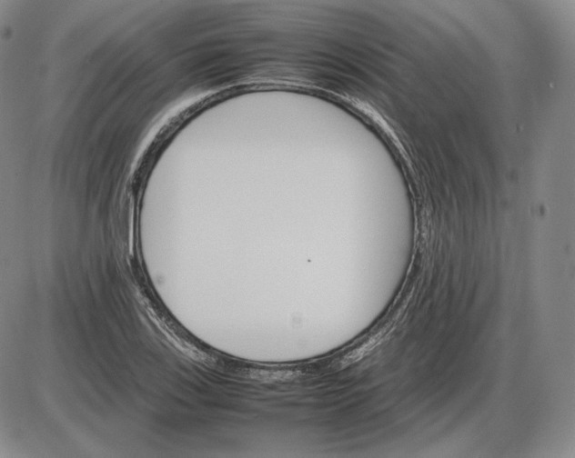 X0000085841123200703301638