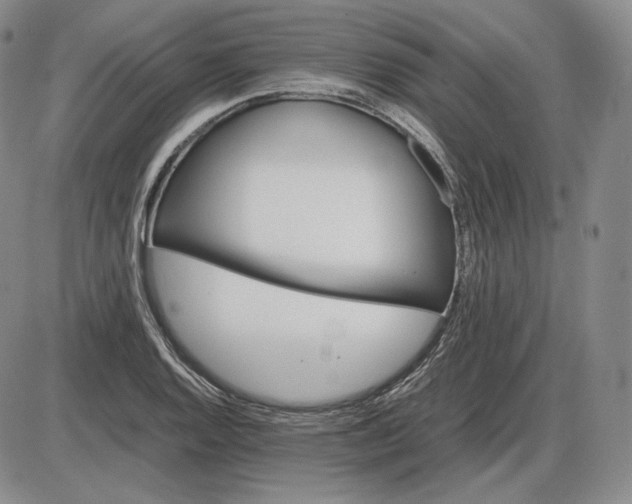 X0000085841128200703301638