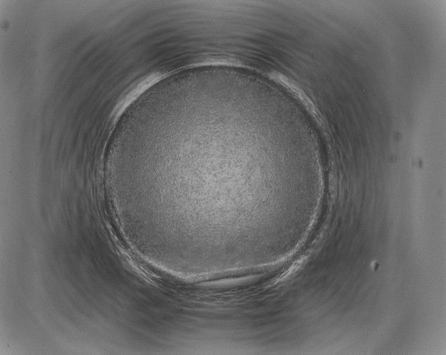 X0000085841129200703301638