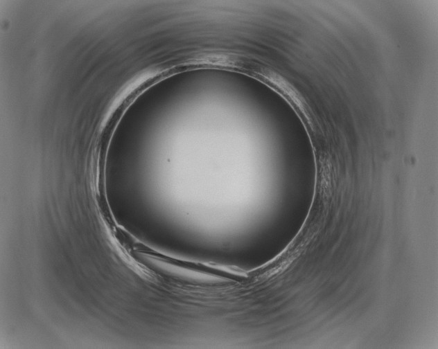 X0000085841131200703301638