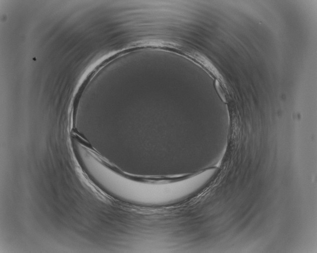 X0000085841132200703301638
