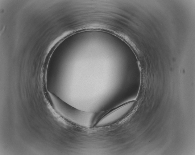 X0000085841134200703301638