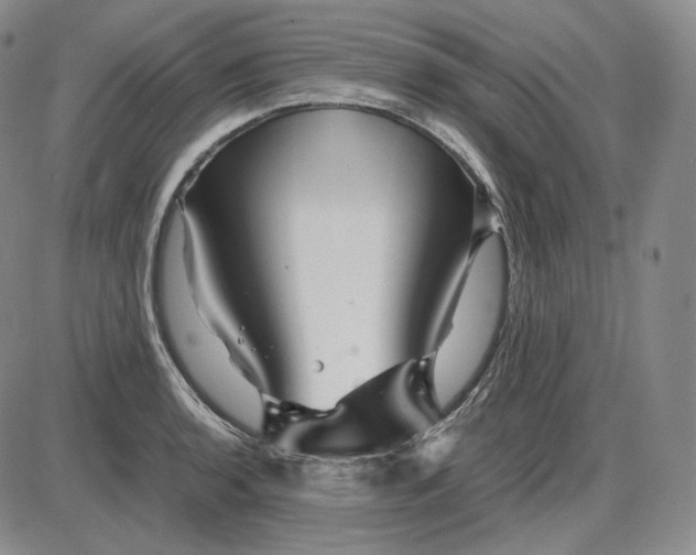 X0000085841136200703301638