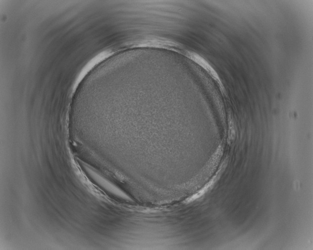 X0000085841138200703301638