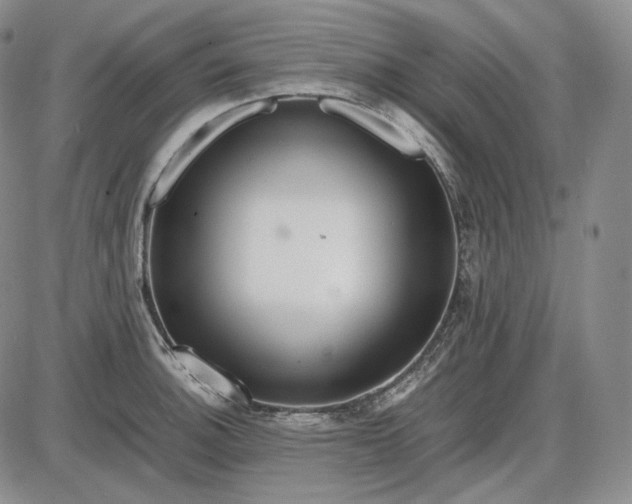 X0000085841140200703301638