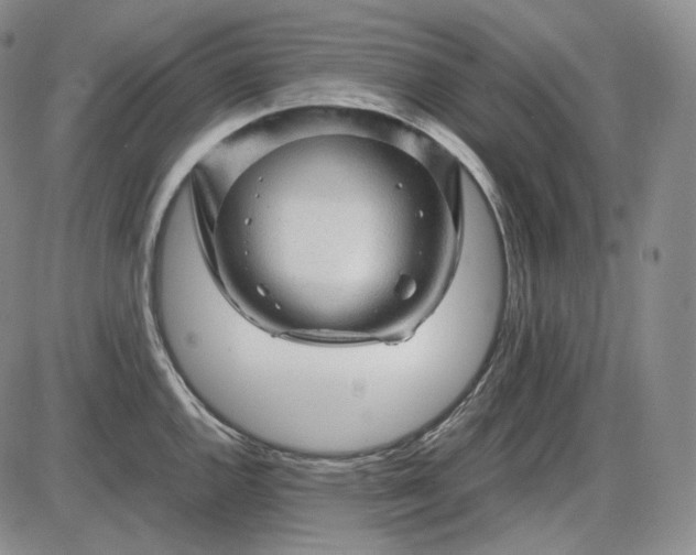 X0000085841144200703301638