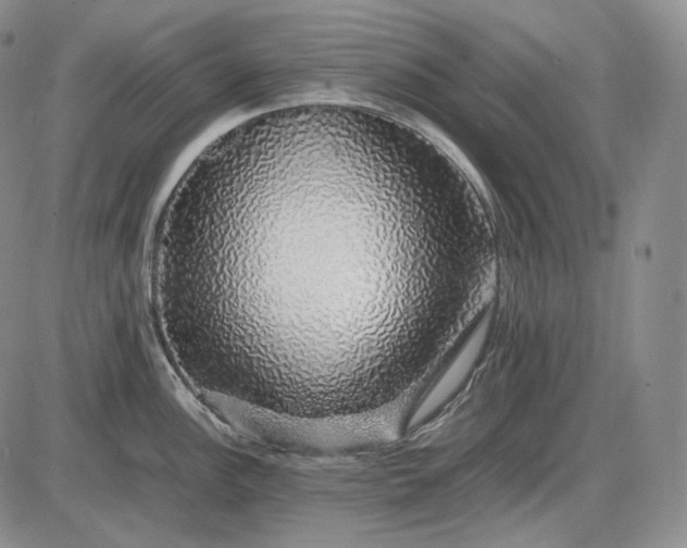 X0000085841148200703301638