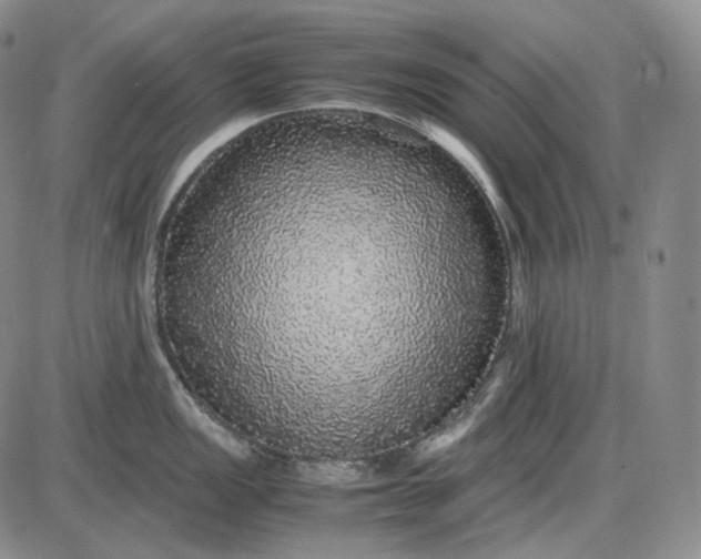 X0000085841149200703301638