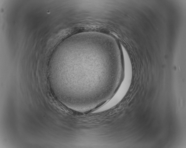 X0000085841153200703301637