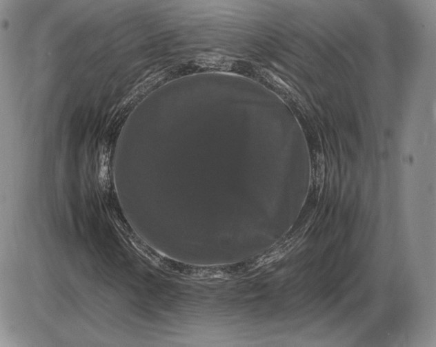 X0000085841154200703301637