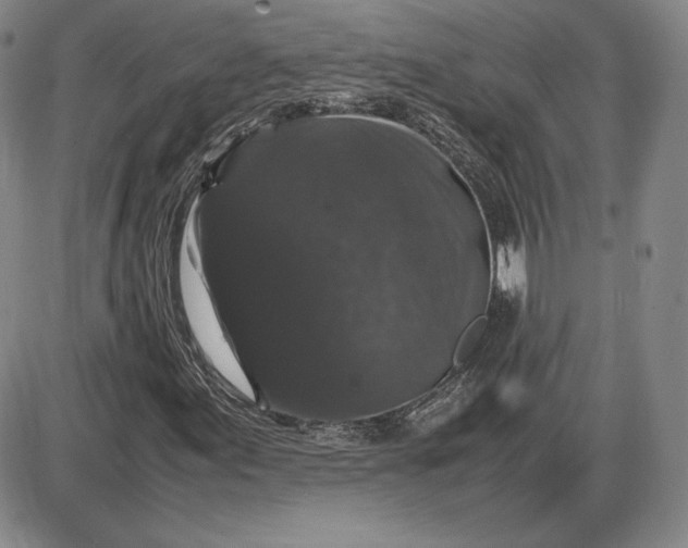 X0000085841155200703301637