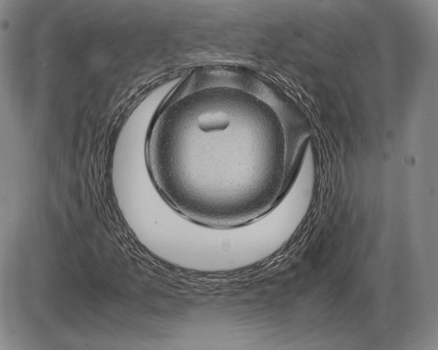 X0000085841157200703301637