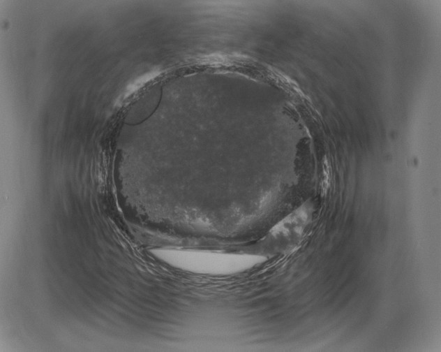 X0000085841158200703301637