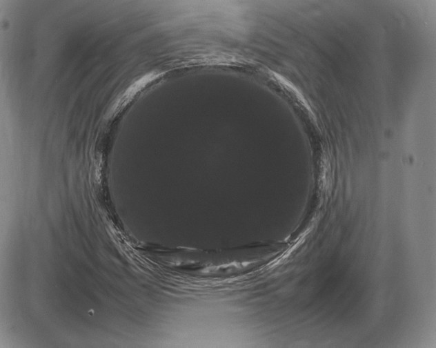 X0000085841161200703301637