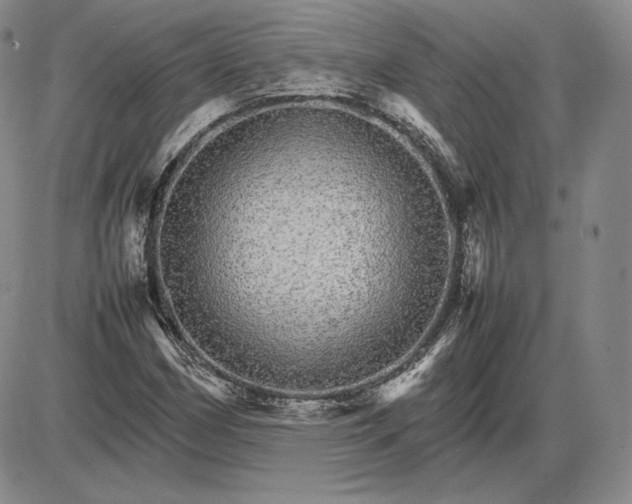 X0000085841162200703301637