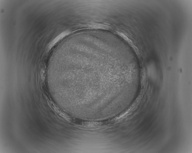 X0000085841163200703301637
