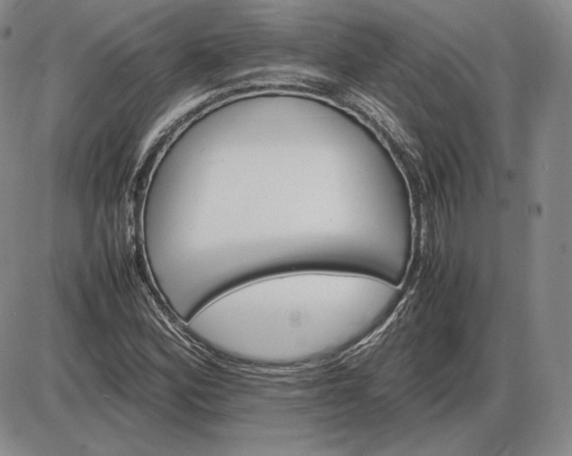 X0000085841164200703301637