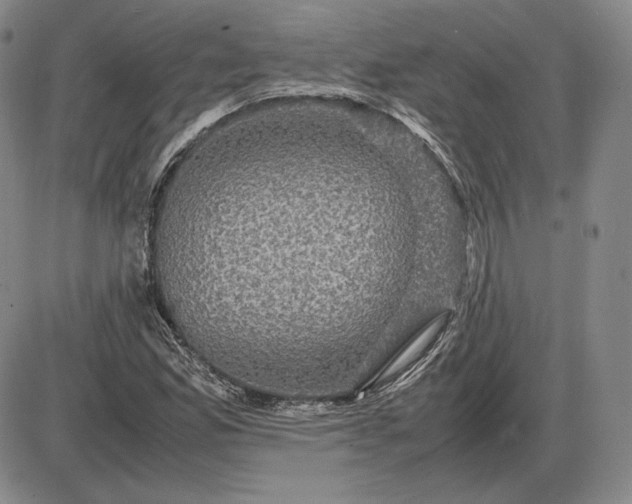 X0000085841165200703301637