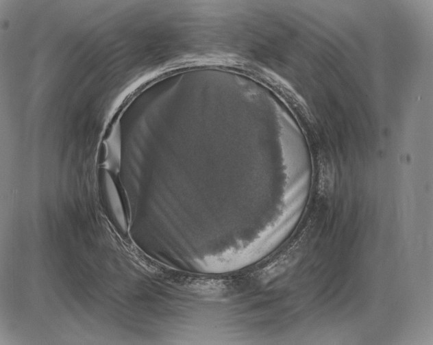 X0000085841174200703301637
