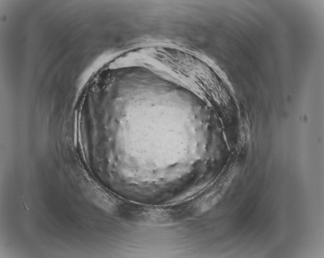 X0000085841175200703301637