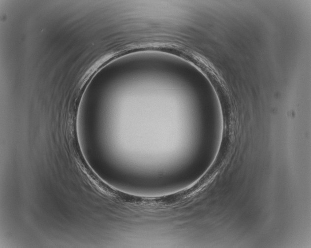 X0000085841177200703301637