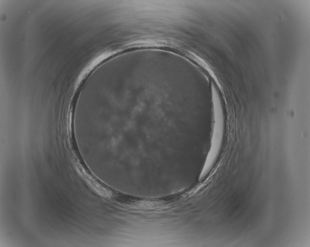 X0000085841179200703301637