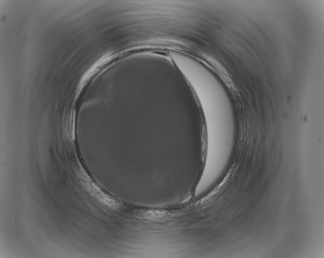 X0000085841180200703301637