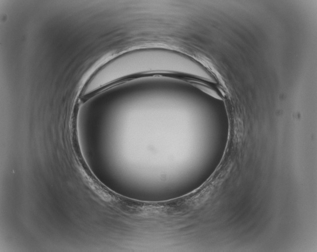 X0000085841181200703301637
