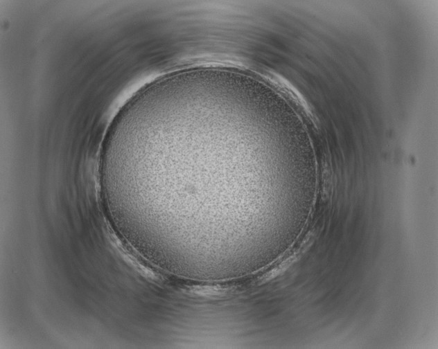 X0000085841182200703301637
