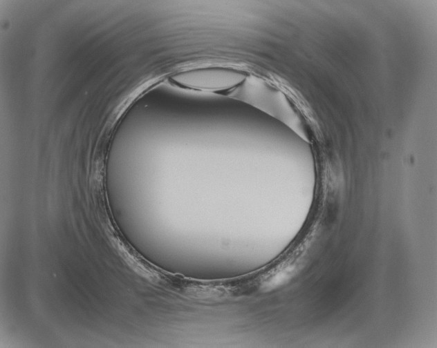 X0000085841185200703301637