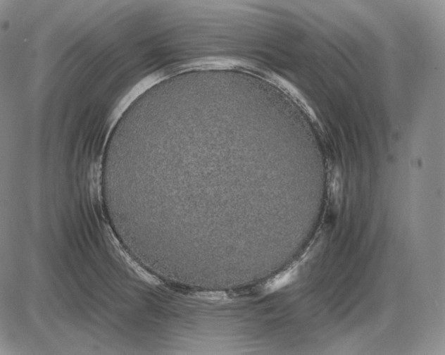 X0000085841186200703301637