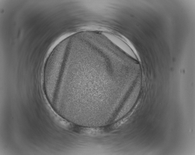 X0000085841195200703301637