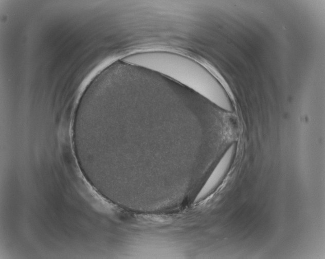 X0000085841197200703301637